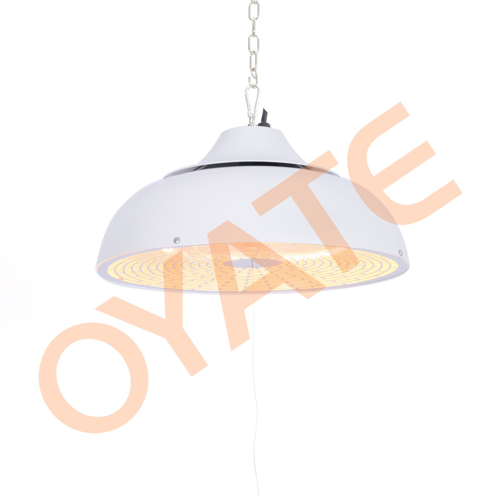 Programmable electric heater